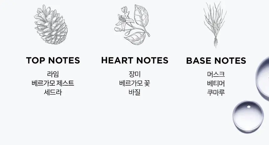 [얇은 모발용][새싹케어] 케라스타즈 제네시스 마스크 200ml 상세페이지 10
